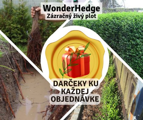 Darky ku kazde objednavce